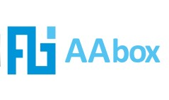 AIN ASSET ASSIST