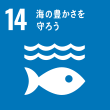 sdgs14海の豊かさを守ろう
