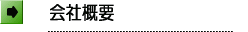ЊTv